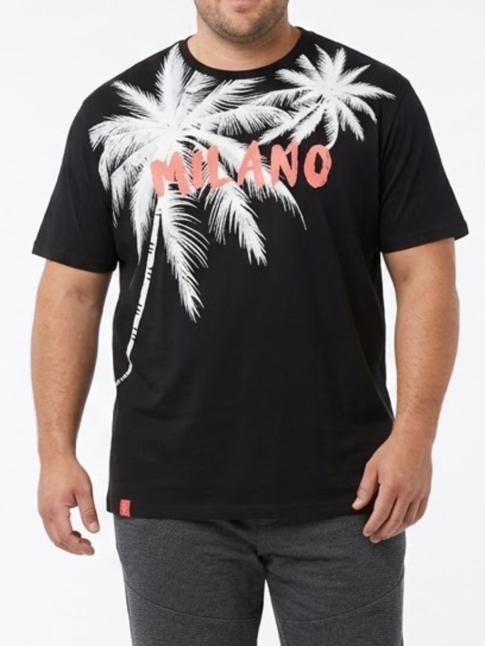 Casual Graphic Tee T Shirt Cotton Blend 3XL Roberto Vino